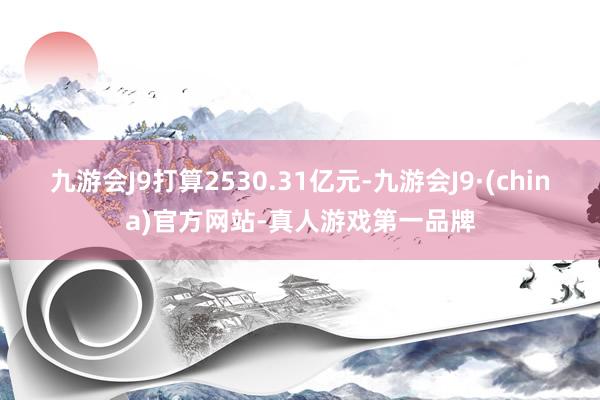 九游会J9打算2530.31亿元-九游会J9·(china)官方网站-真人游戏第一品牌