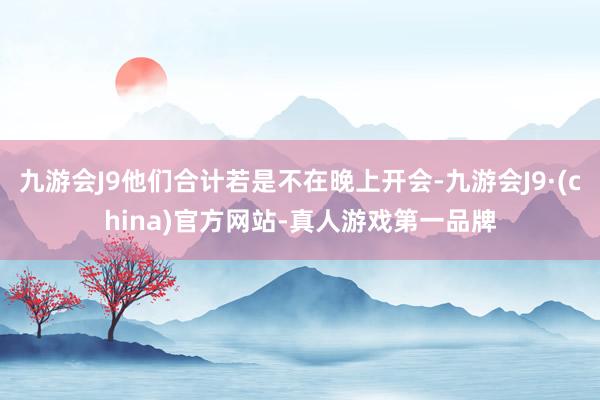 九游会J9他们合计若是不在晚上开会-九游会J9·(china)官方网站-真人游戏第一品牌