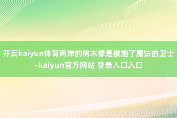 开云kaiyun体育两岸的树木像是被施了魔法的卫士-kaiyun官方网站 登录入口入口