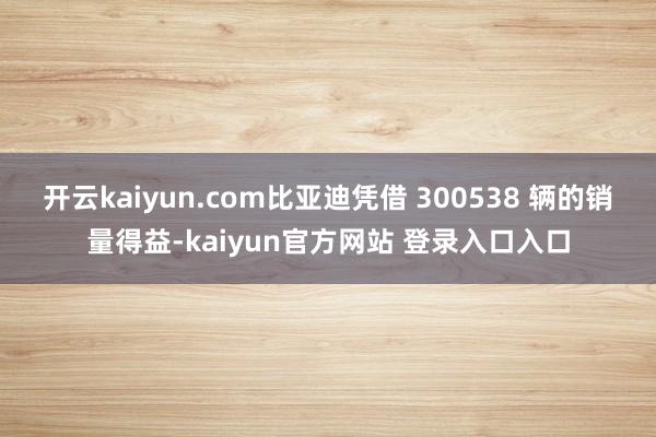 开云kaiyun.com比亚迪凭借 300538 辆的销量得益-kaiyun官方网站 登录入口入口